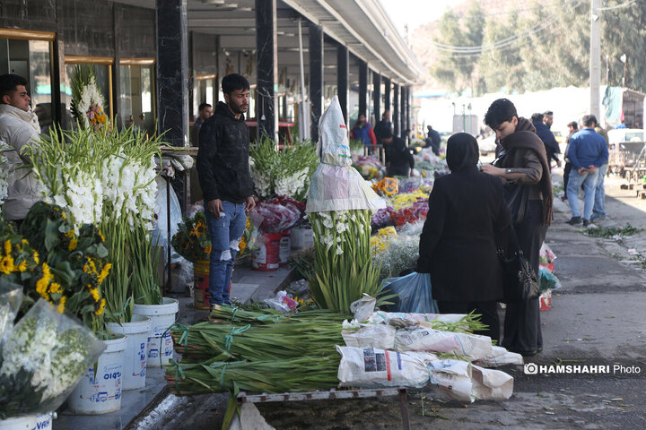 بازار گل امام رضا