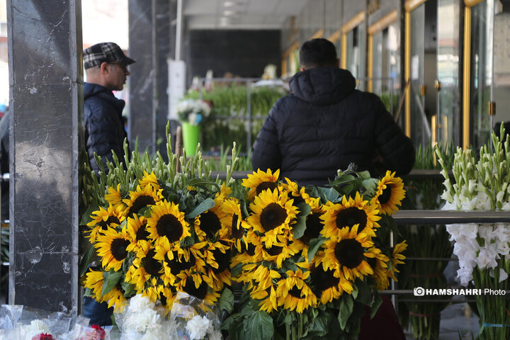 بازار گل امام رضا