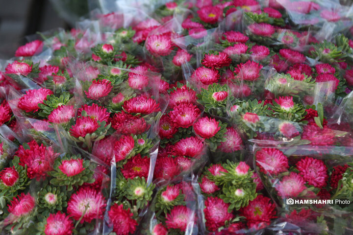 بازار گل امام رضا