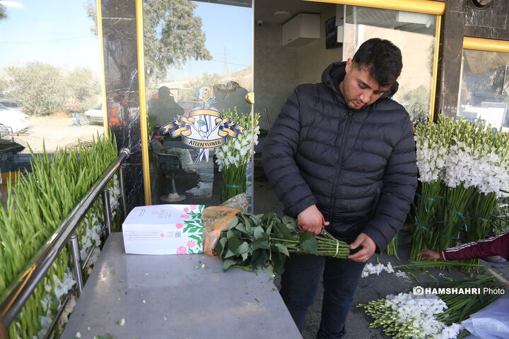 بازار گل امام رضا