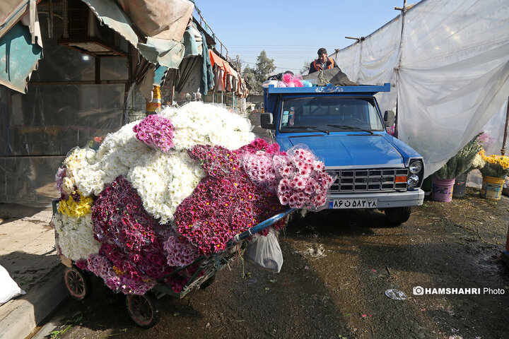 بازار گل امام رضا