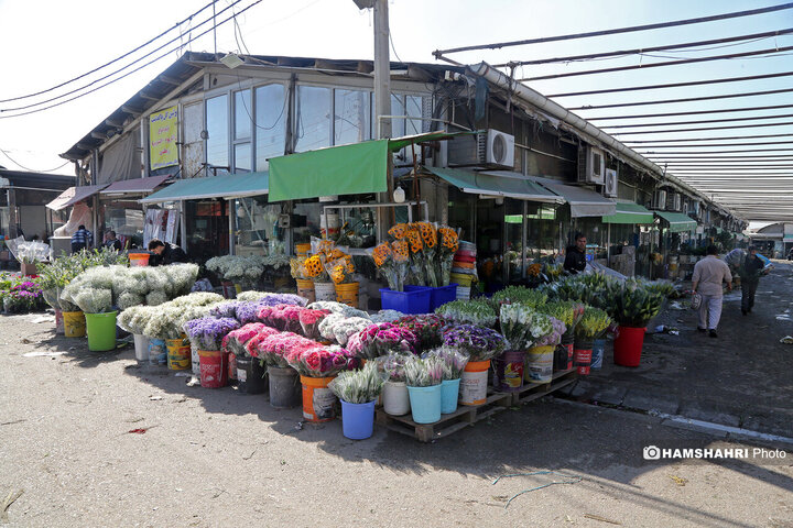 بازار گل امام رضا