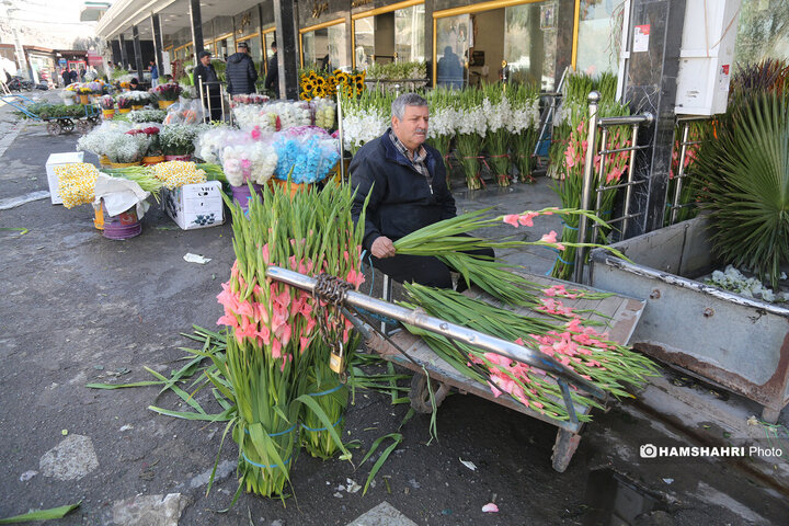 بازار گل امام رضا