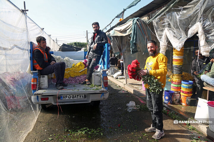 بازار گل امام رضا