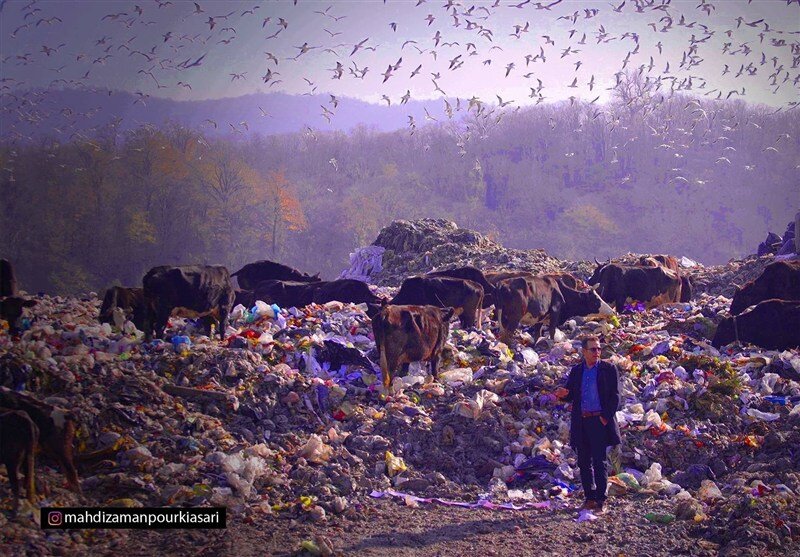 افشاگری یک مستندساز از بحران پسماند در شمال کشور | تهدید به مرگ شدم! + عکس