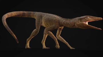 تمساح ماقبل تاریخی که شبیه سگ شکاری بوده است