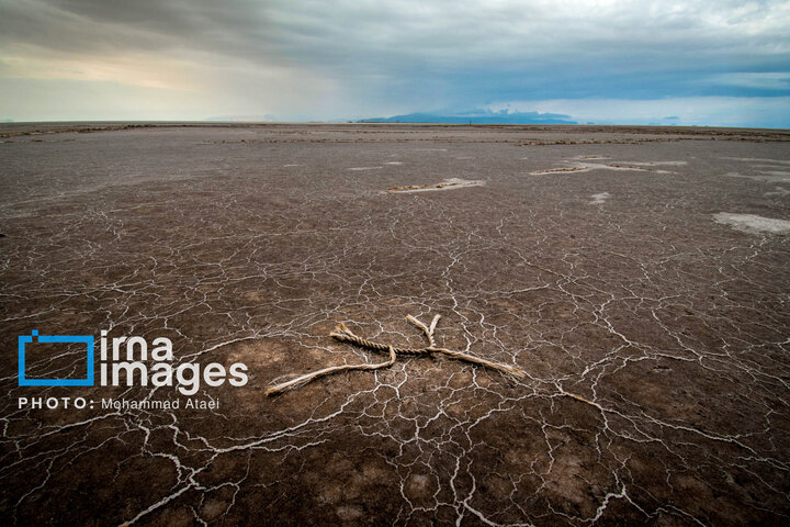 دریاچه ارومیه