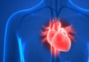 چطور از قلب در خانه مراقبت کنیم؟