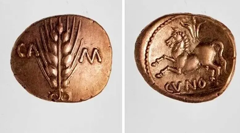 یافتن گنج سکه‌های رومی هنگام جست‌وجو برای کلید تراکتور | عکس