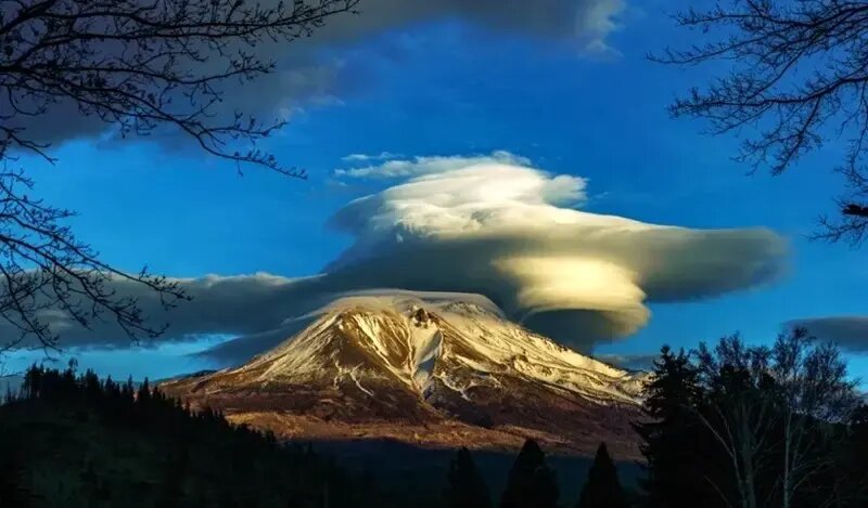 شاهکارهای عکاسی طبیعت در مرحلۀ نهایی جایزه عکاسی سونی | عکس