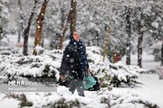 بارش اولین برف پاییزی تا روز جمعه + ویدئو |‌ هشدار نارنجی برای این استان ها