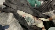 هیچ پیکری در این حادثه، سالم نمانده بود! + ویدئو