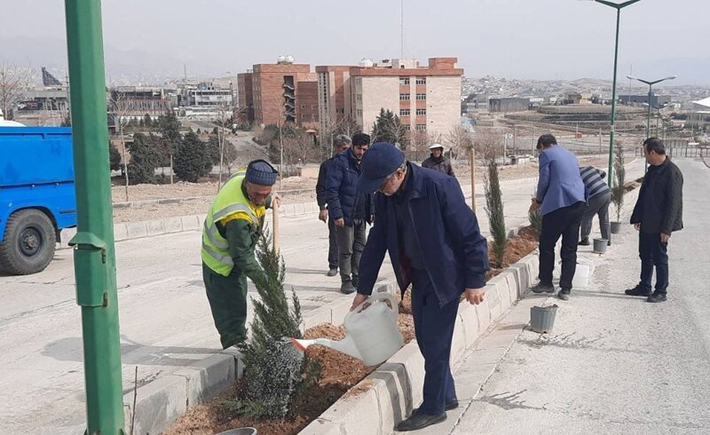 درختکاری