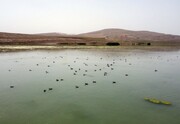خبر خوش محیط زیستی در میان اخبار جنگ؛ یک تالاب بین‌المللی سرریز شد