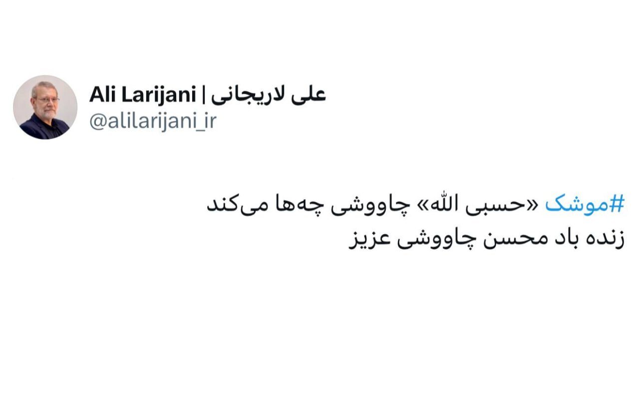 لاریجانی: زنده باد محسن چاووشی عزیز!
