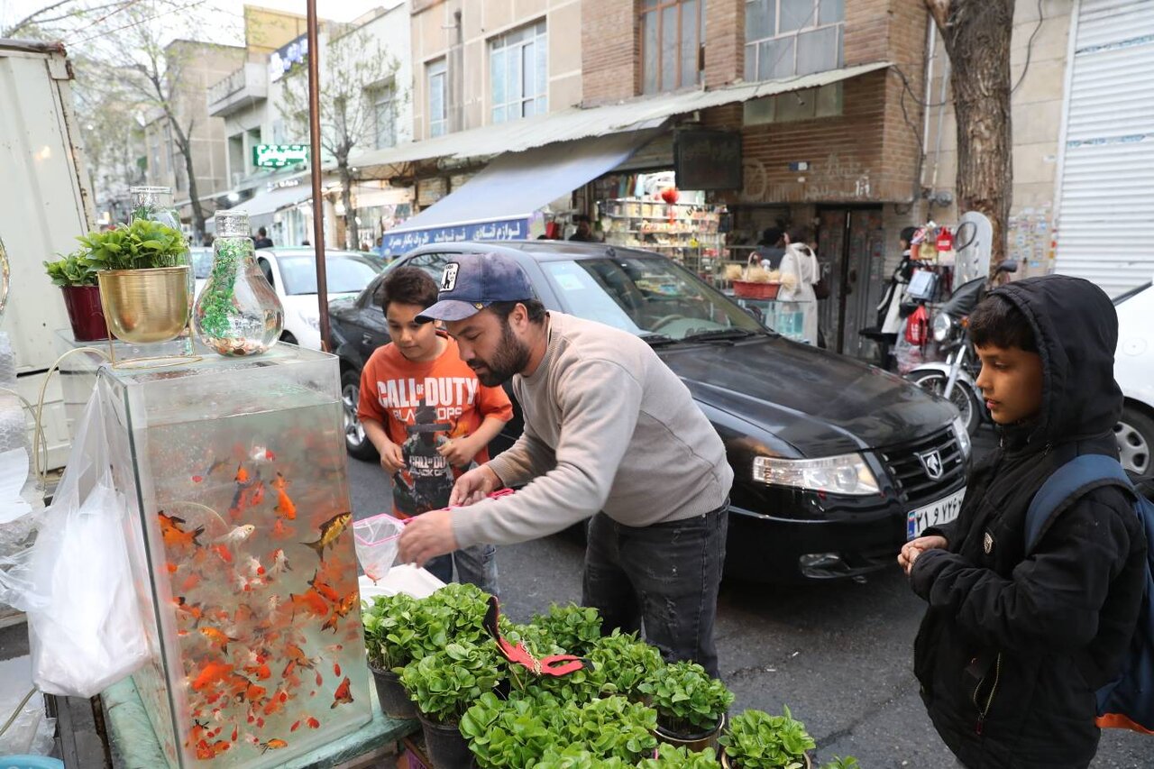 تهران