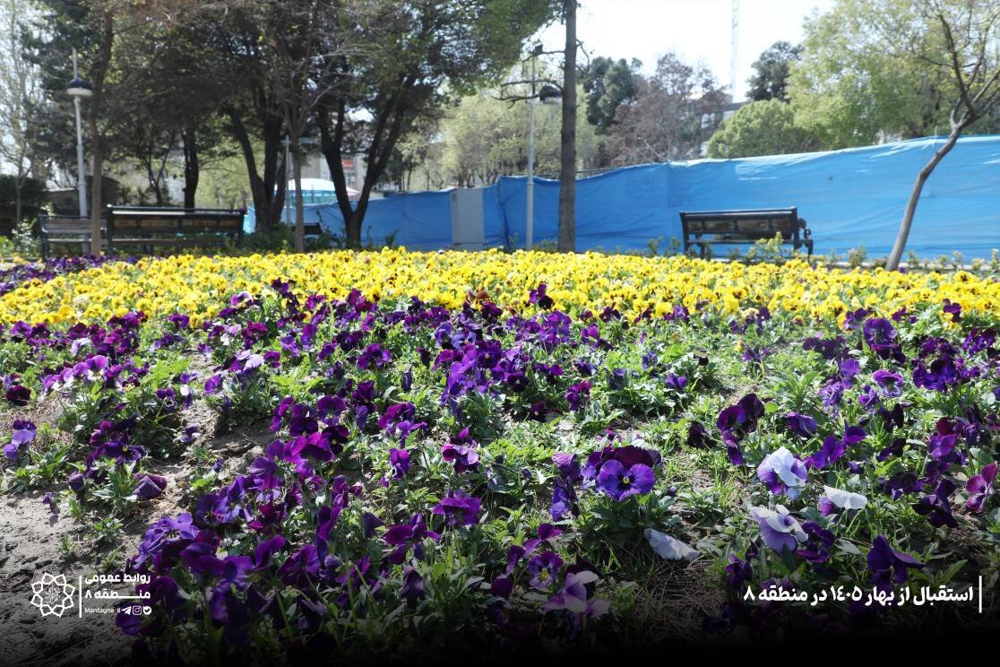 کاشت گل های بهاری در تهران