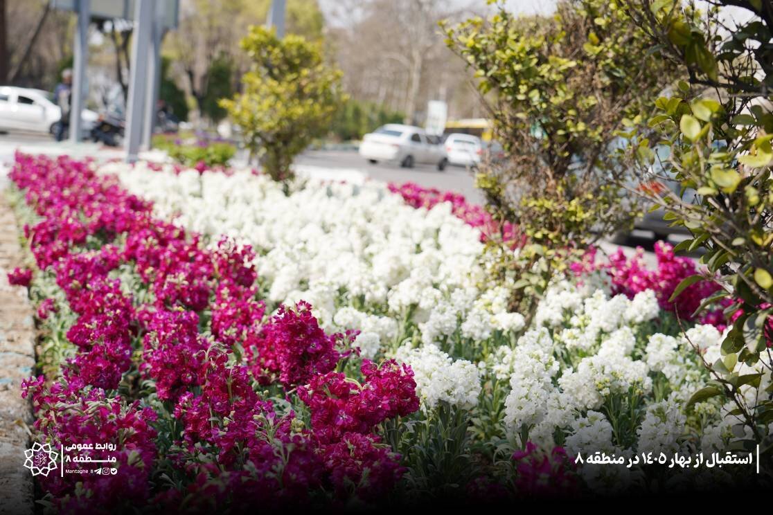 در خیابان های تهران لاله می روید