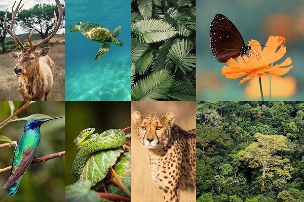 دریچه‌ای به دنیای پیش از تاریخ ب