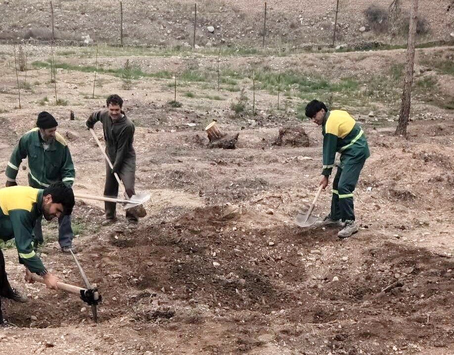 منطقه ۲۲