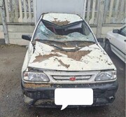 ارزیابی خسارت خودروهای آسیب‌دیده در غرب تهران