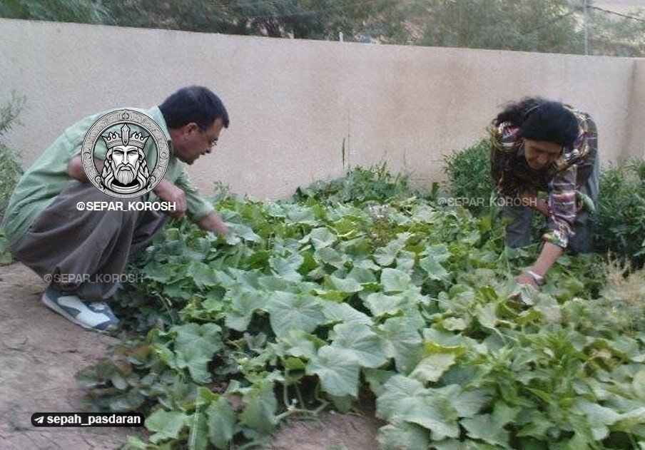 گروه هکری سپر کوروش