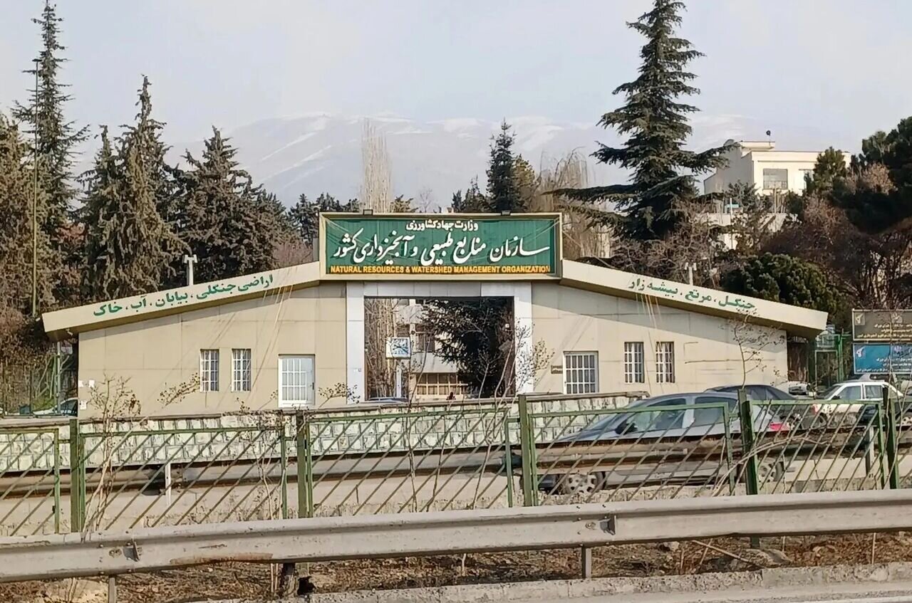 آخرین جزئیات حمله به سازمان منابع طبیعی | آمار شهدا حمله به ۸ نفر رسید | پیگیری حمله از مجامع بینالمللی