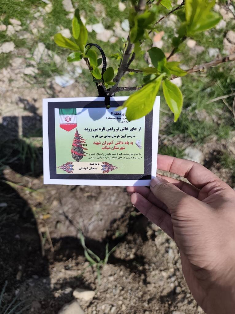 کاشت نهال . چمران