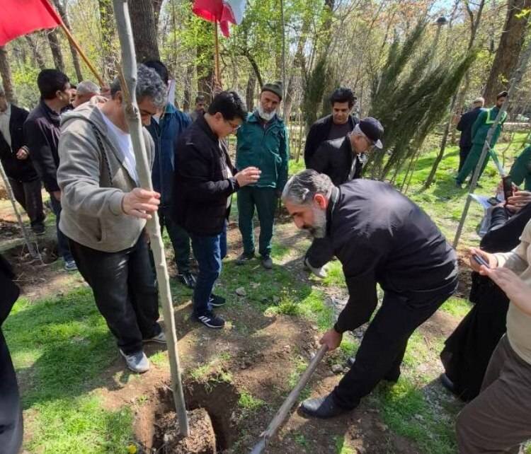 کاشت هزاران اصله نهال در بوستانهای شهر