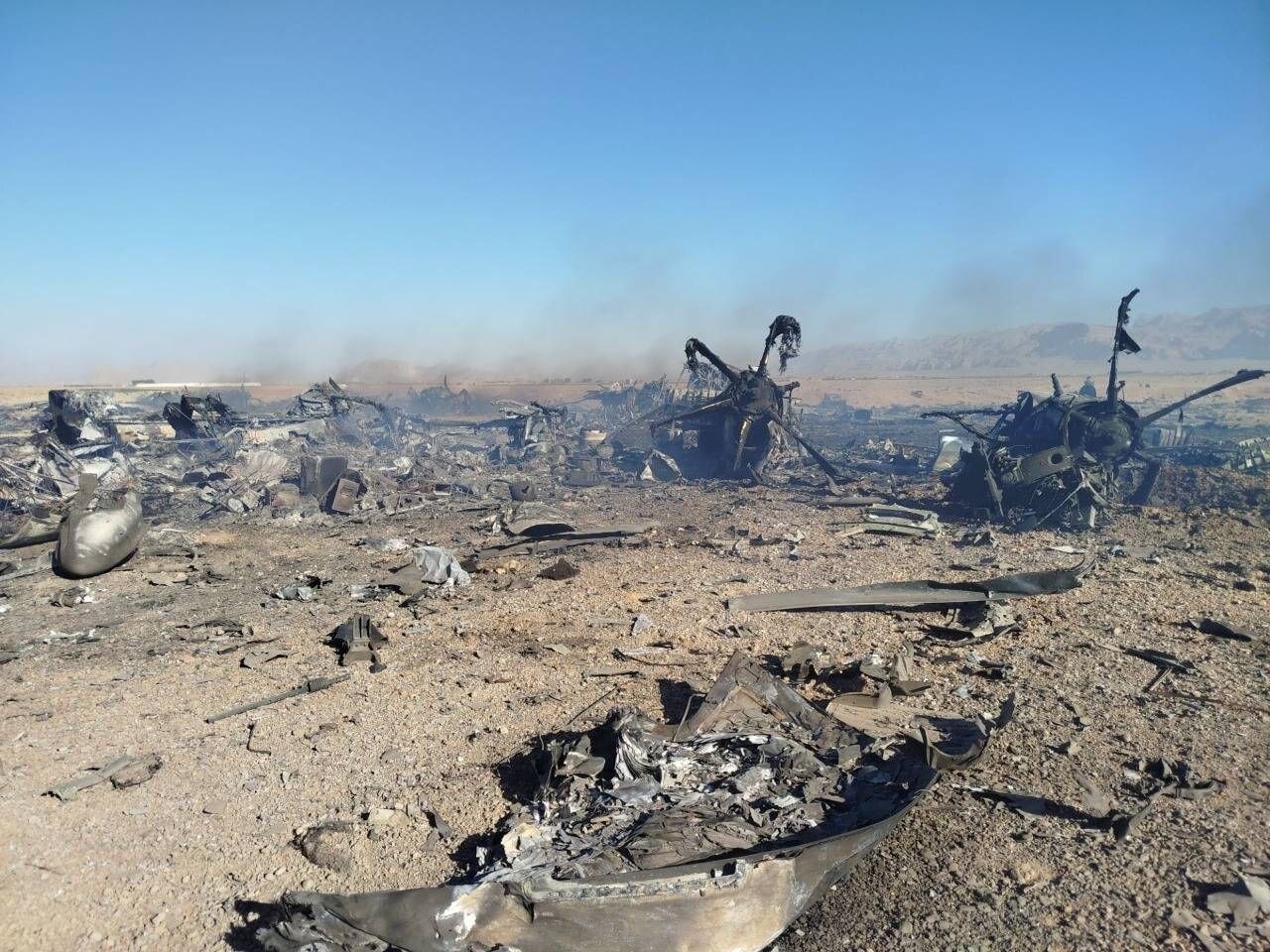 پرنده هاي متجاوز