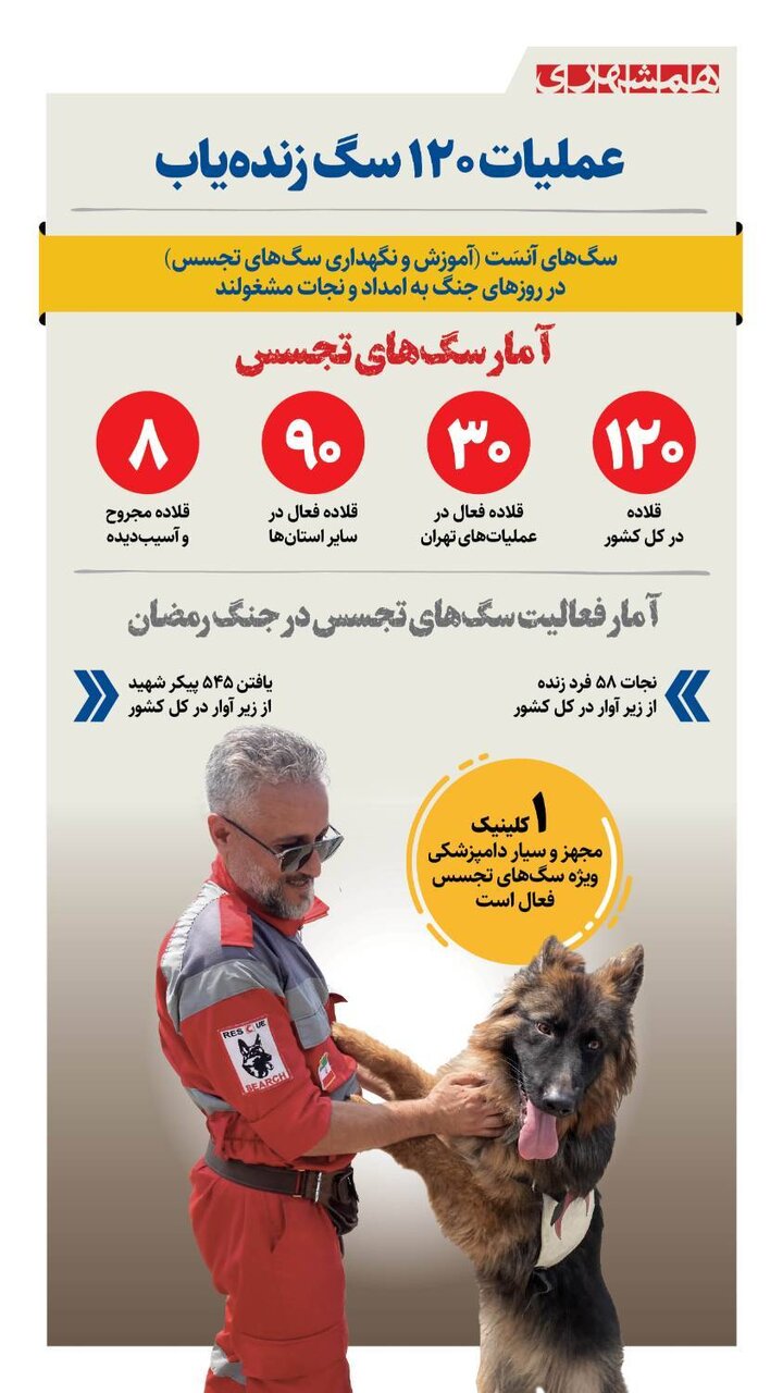 ناگفتههایی از عملیات سگهای زنده یاب در جنگ رمضان | چطور لئو، توگو و جسی تبدیل به فرشته نجات شدند؟