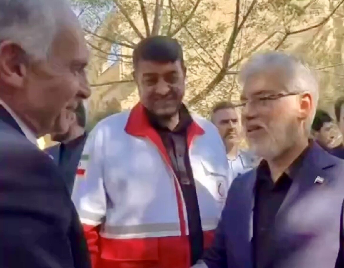 بازدید