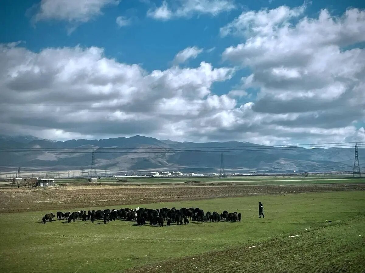 ایران از قاب پنجره | روایتی گذرا از تهران تا مرز ترکیه