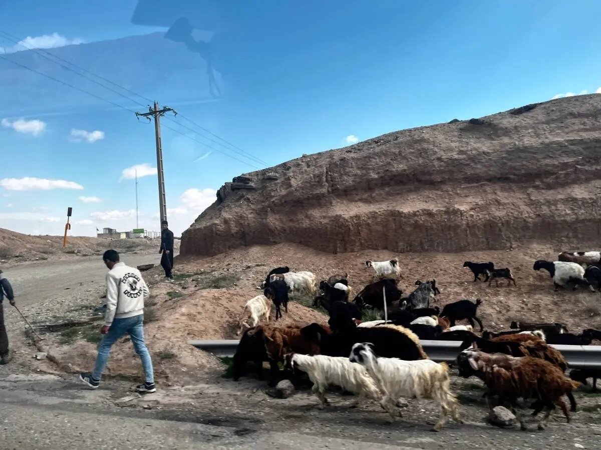 ایران از قاب پنجره | روایتی گذرا از تهران تا مرز ترکیه