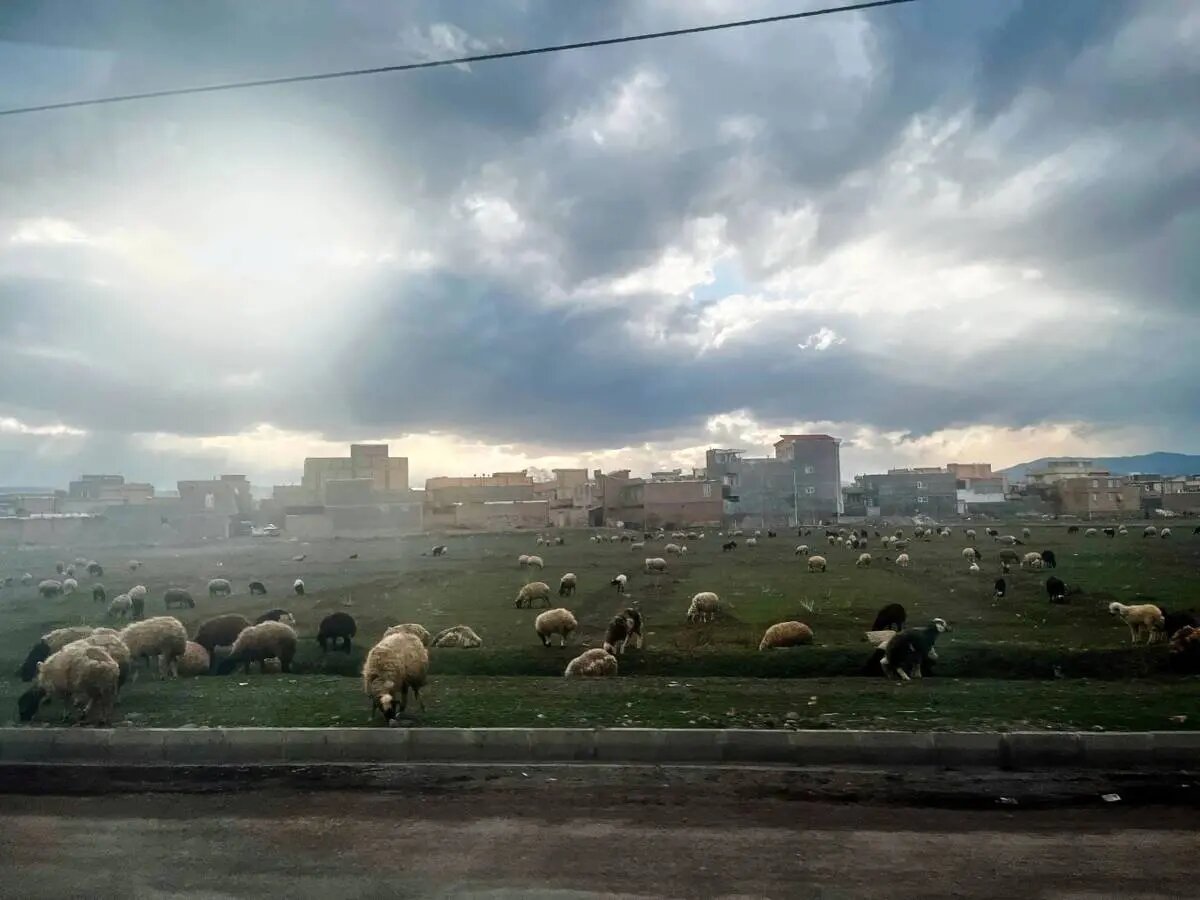ایران از قاب پنجره | روایتی گذرا از تهران تا مرز ترکیه