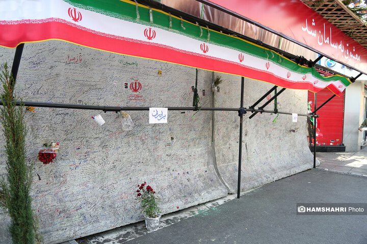 دیوار نگاره خیابان شهید کشور دوست