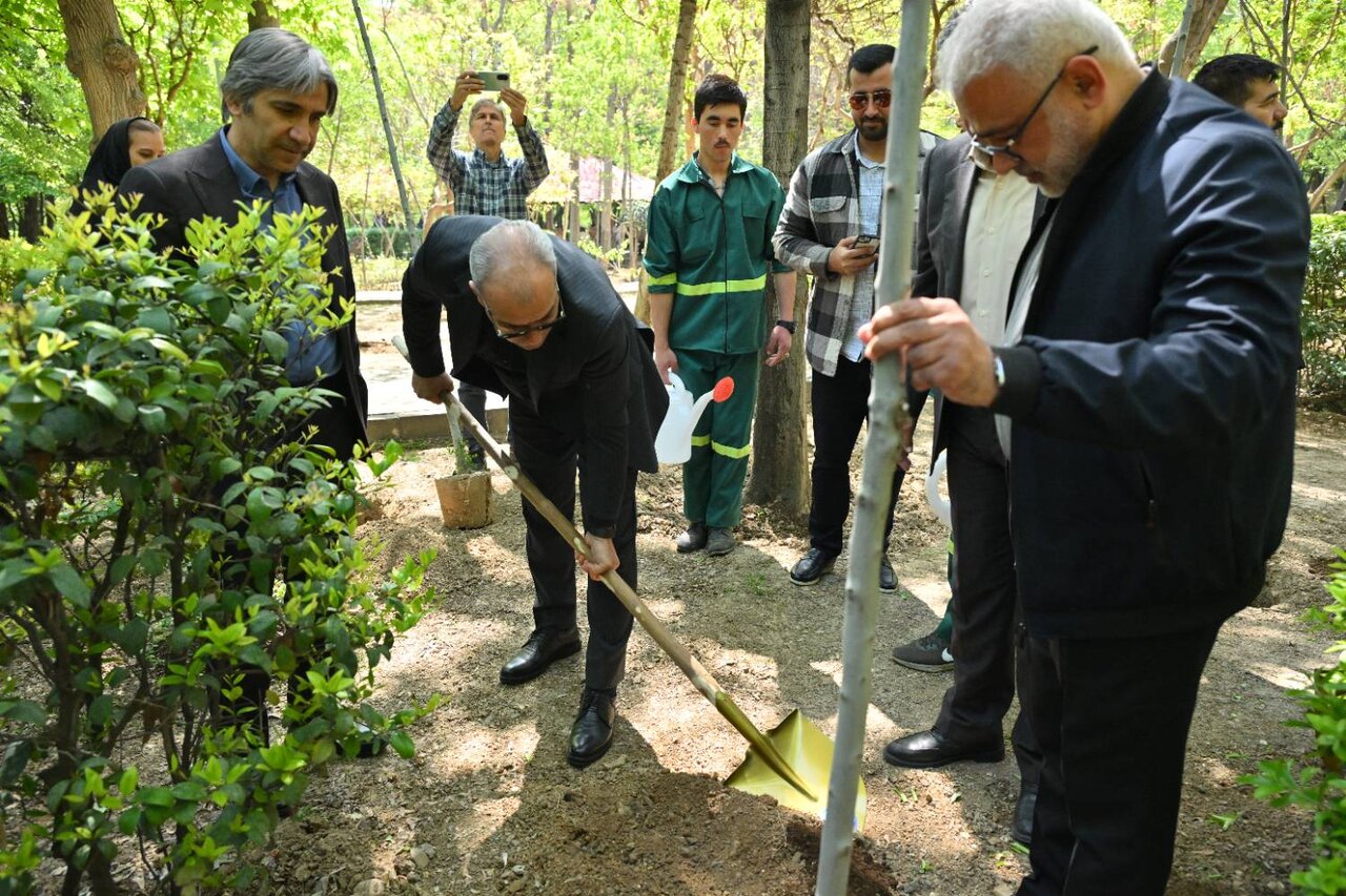درختکاری