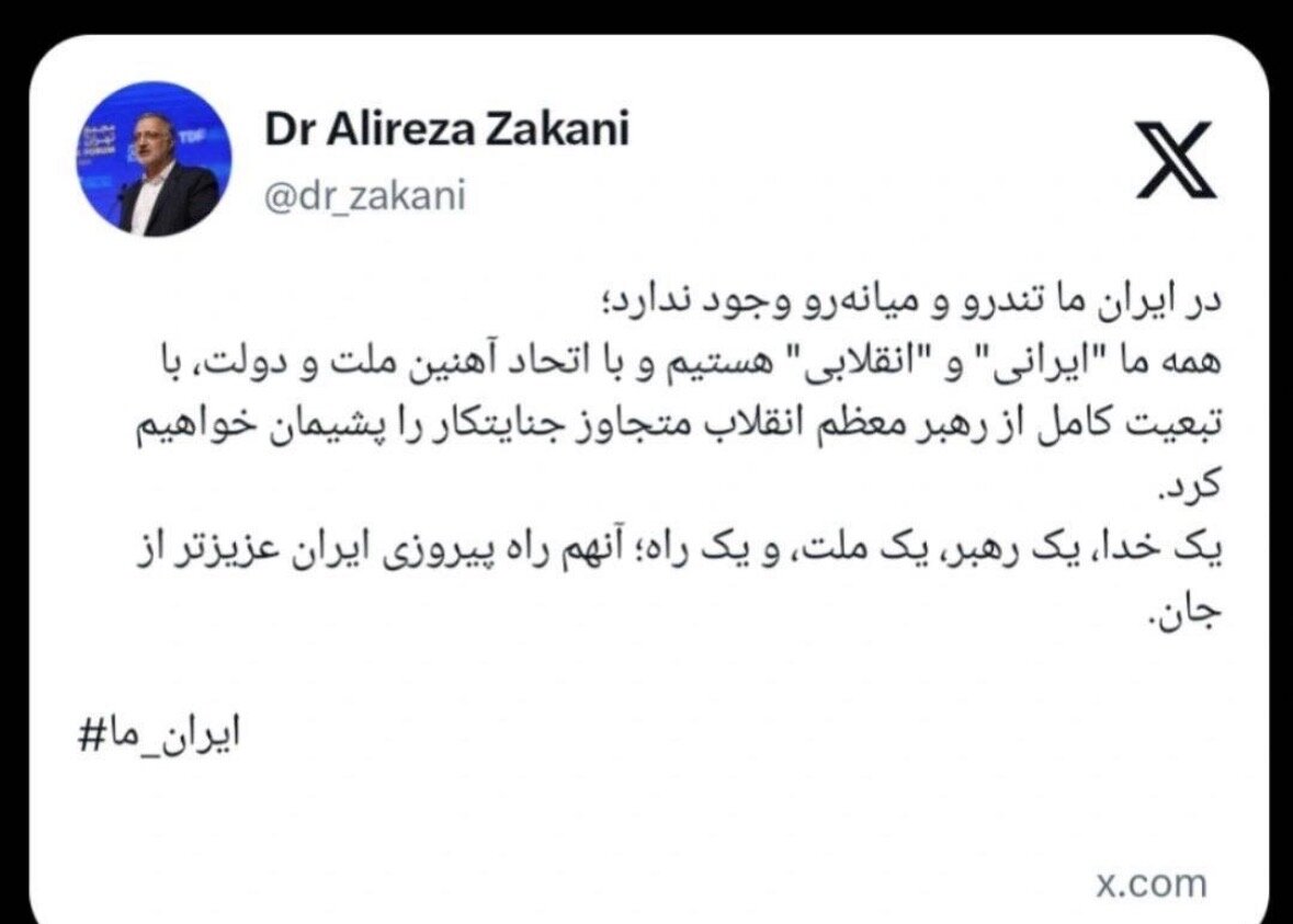 تویین زاکانی