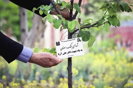 میتوانست برود، اما ماند