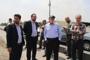 سرمایه‌گذاران در میدان میوه و تره‌بار فعال می شوند