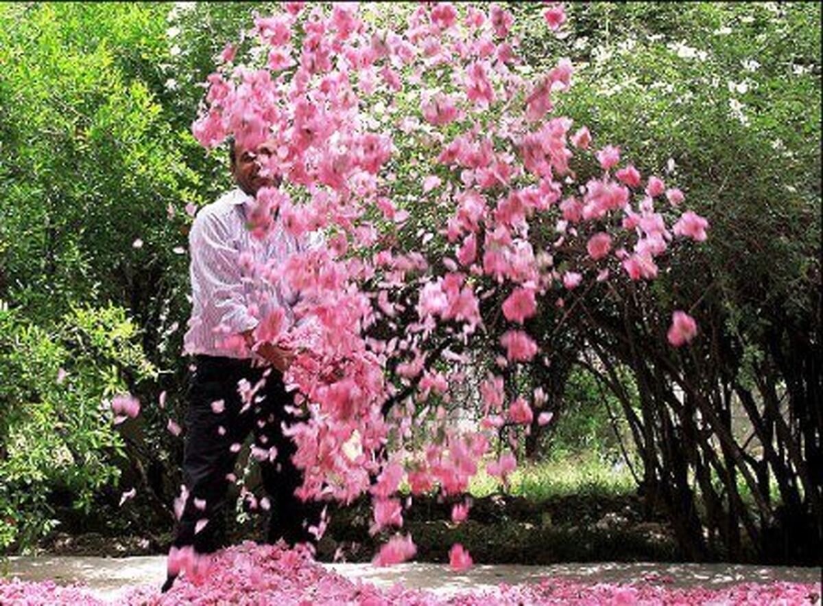 گردشگری