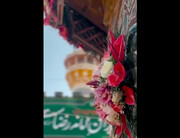 پنجره فولاد و سقاخانه حرم رضوی گلباران شد | ویدئو
