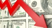 شوک دیپلماتیک به بازار ارز | سقوط آزاد دلار