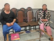 سرقت ۳۰ میلیاردی از خانه تاجر تهرانی| نقش خدمتکار در سناریوی پیچیده سرقت