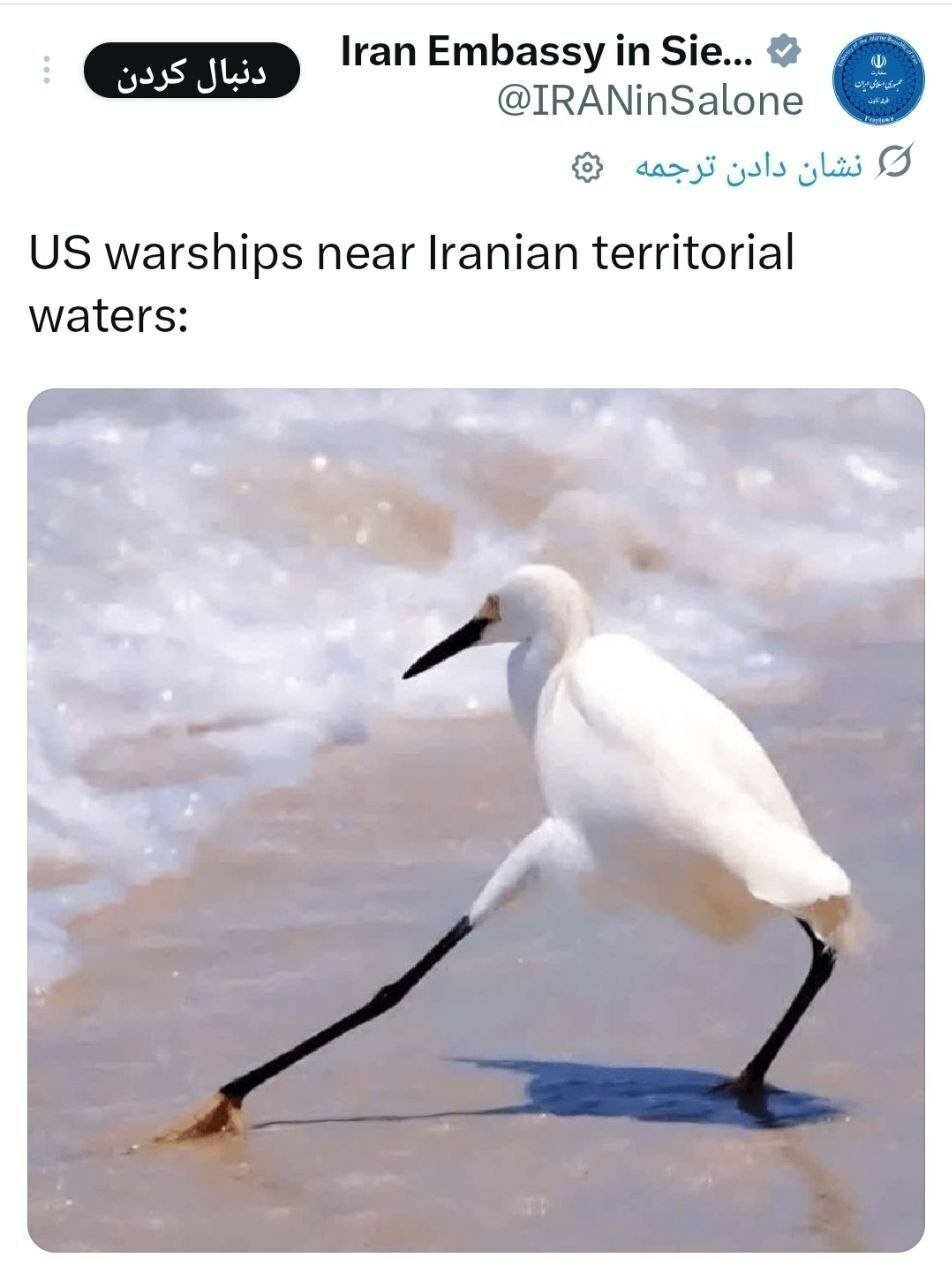 لگوها علیه یانکیها