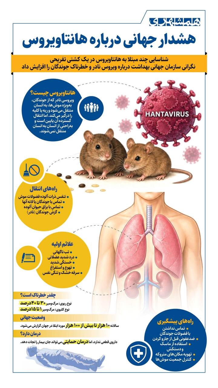 هشدار جهانی درباره هانتاویروس | از هانتا ویروس بترسیم یا نه؟ + ببینید