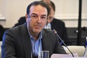کشتی کروز که هیچ، یک قایق بادی هم نمی‌تواند ... + ویدئو | شوخی معاون وزیر بهداشت با هانتاویروس و تنگه هرمز