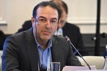 واکنش وزارت بهداشت به «هانتاویروس» در ایران | موردی از این ویروس گزارش شده؟