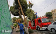 هشدار نارنجی سازمان مدیریت بحران برای تهران |وقوع طوفان در ساعات آینده