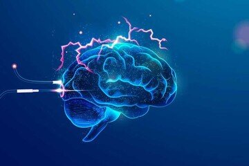 brain